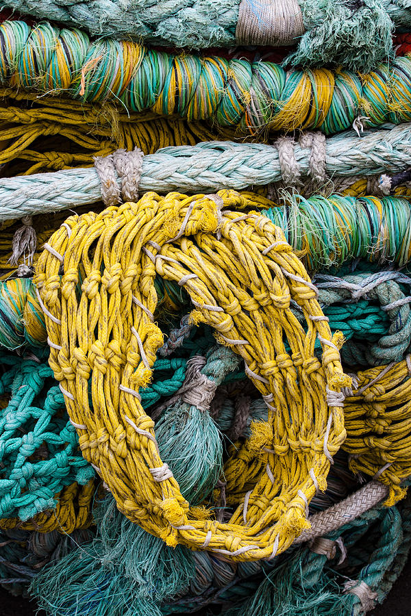 Oregon Photograph - Colorful Fishing Nets by Carol Leigh