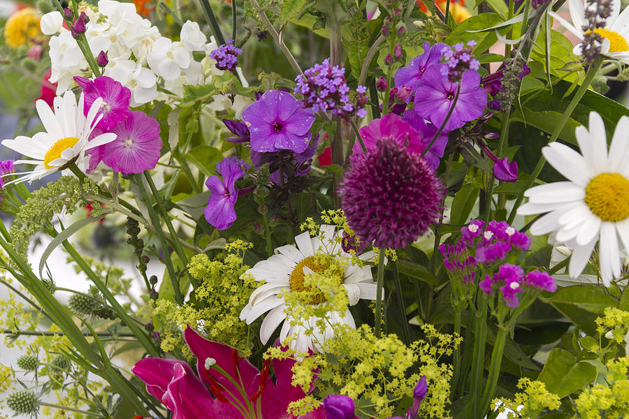 Colorful flower arrangement Photograph by Chris Smith