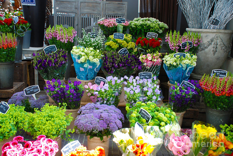 inspanning sturen bank Colorful Flower Shop in Amsterdam Holland Photograph by Just Eclectic