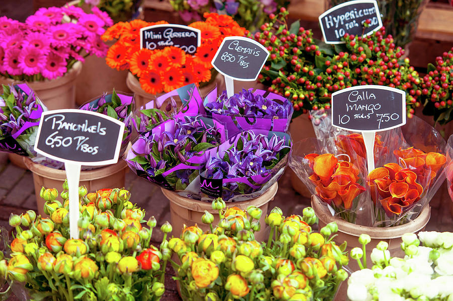 Colorful Flowers Display Photograph by Jenny Rainbow