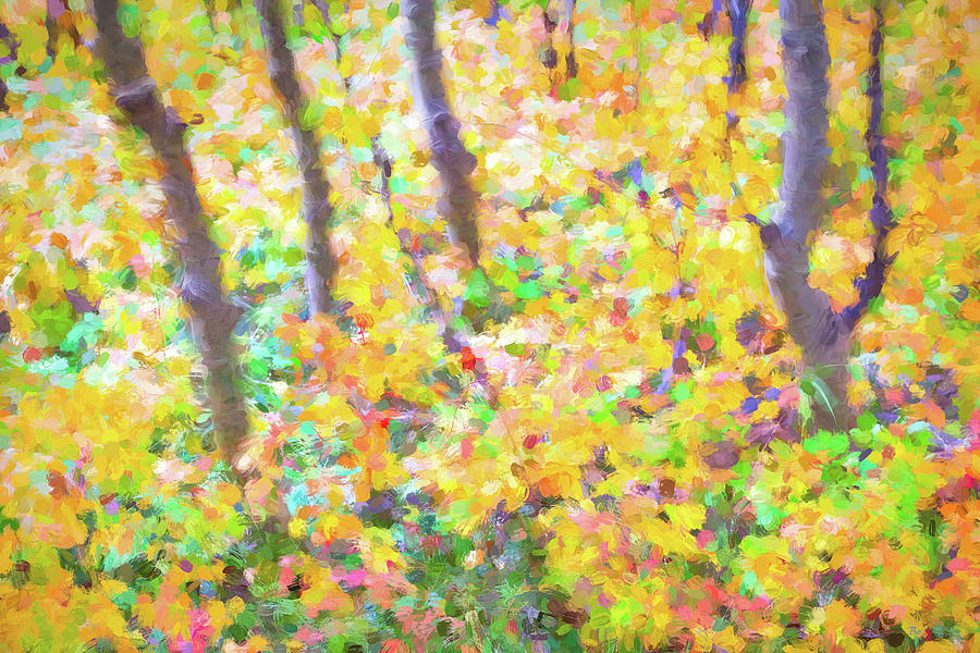 Colorful Forest Abstract Photograph by James BO Insogna