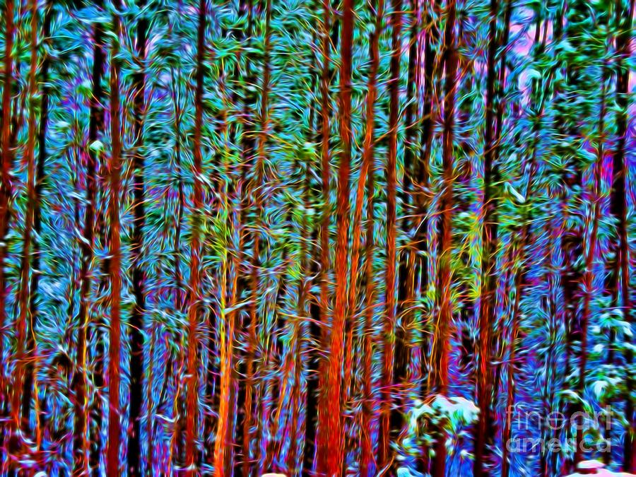 Tree Photograph - Colorful Forest  by Kathy Liebrum Bailey