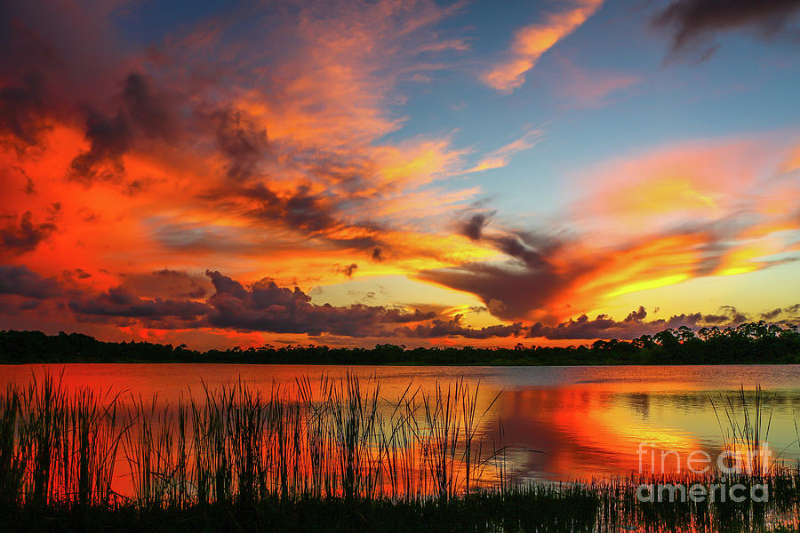 Colorful Fort Pierce Sunset Photograph by Tom Claud