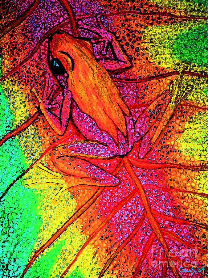 Colorful Frog On Leaf Digital Art
