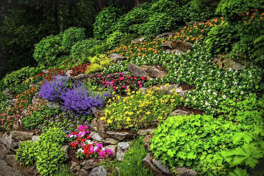 Colorful Garden at Villa Carlotta Photograph by Carolyn Derstine