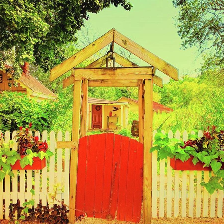 Colorful Garden Gate In Hunterstown,pa Photograph by Paul Kercher