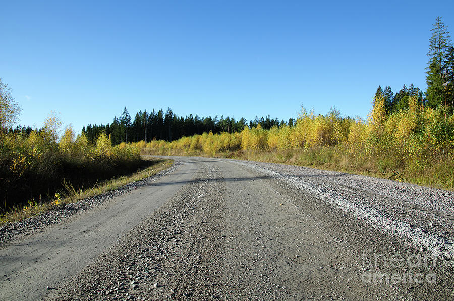 Fall Photograph - Colorful gravel road by Kennerth and Birgitta Kullman
