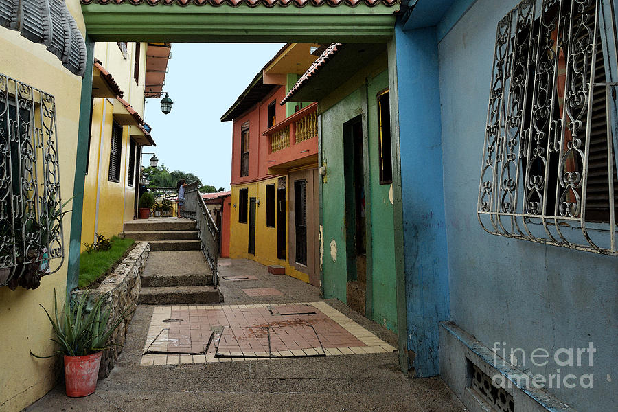 Colorful Guayaquil Alley Photograph by Catherine Sherman