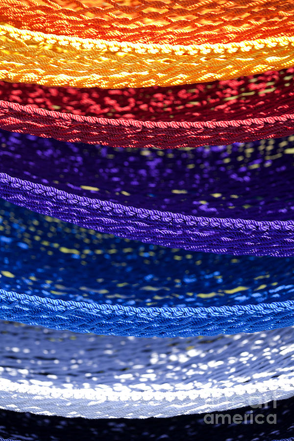 Colorful Hammocks  Photograph by Anthony Totah