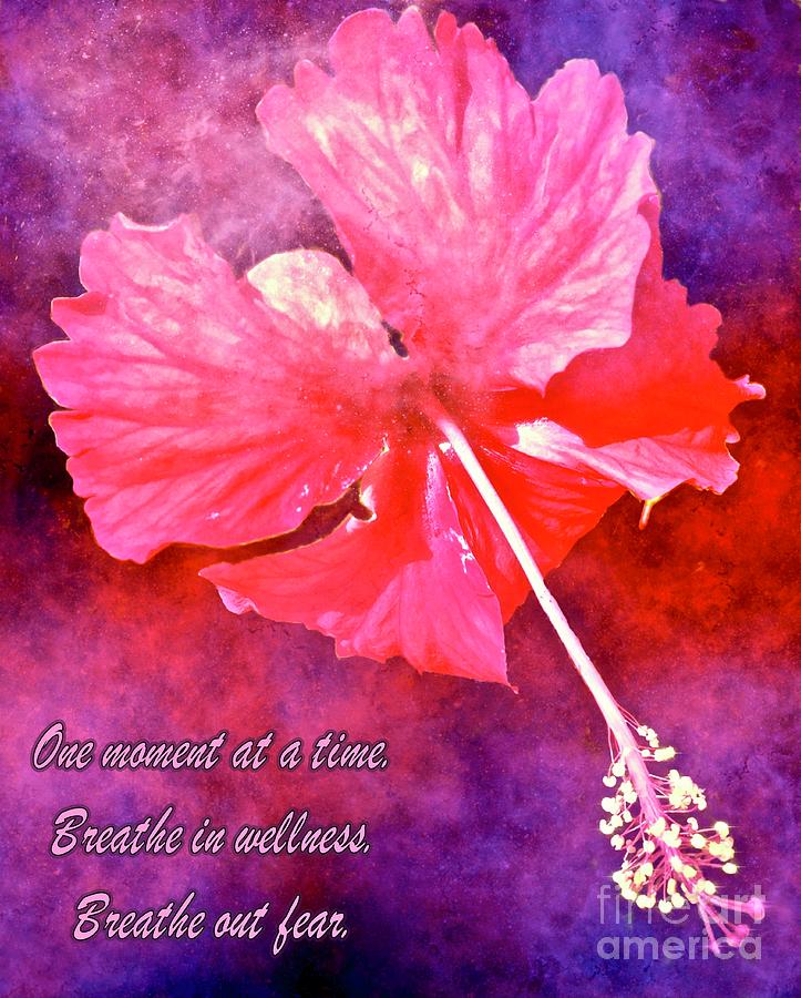 Colorful Hibiscus Greeting Mixed Media by Lauries Intuitive