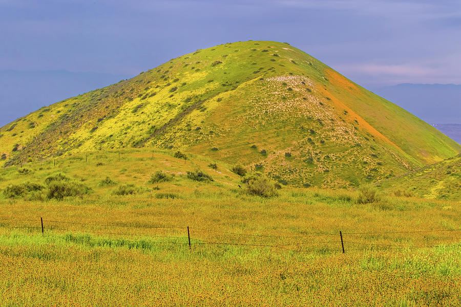 Colorful Hill Photograph by Marc Crumpler