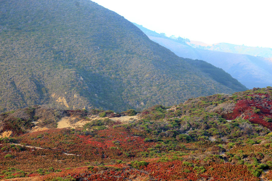 Colorful Hills by Jodi Vetter Colorful Hills by Jodi Vetter