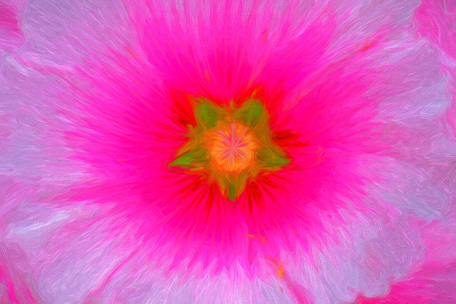 Colorful Hollyhock 4 Digital Art by Roy Pedersen