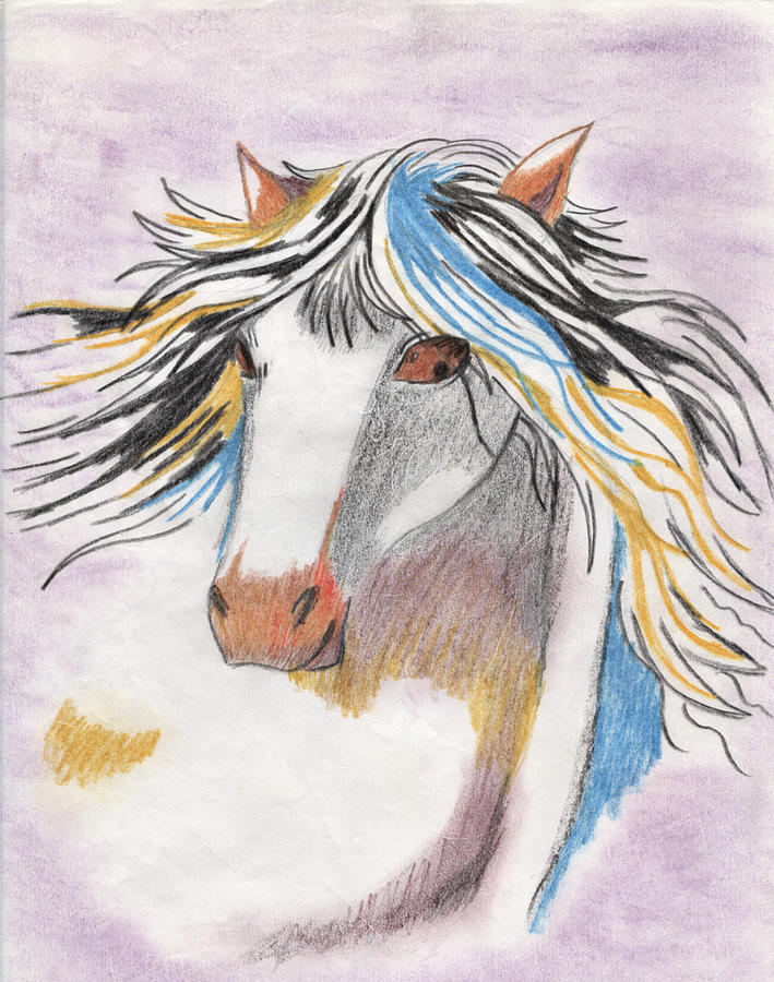 Colorful Horse Drawing by Marta Pawlowski