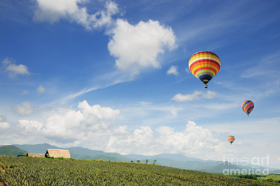 Nature Photograph - Colorful hot-air balloons by Natapong Paopijit