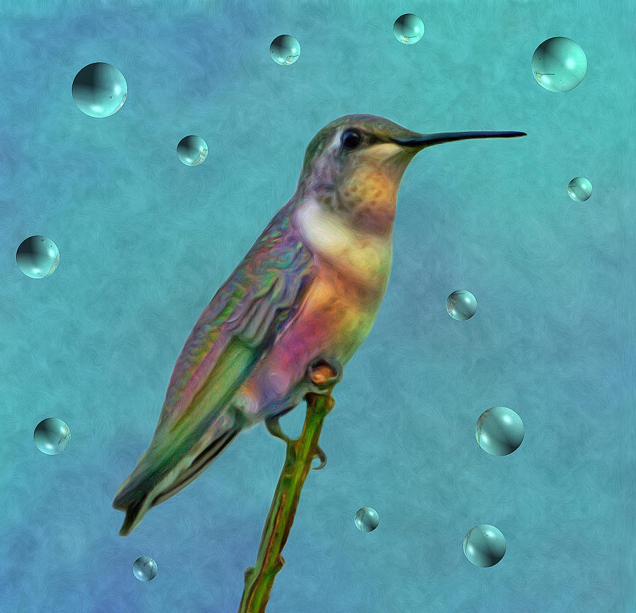 Colorful Hummingbird Photograph by Sandy Keeton