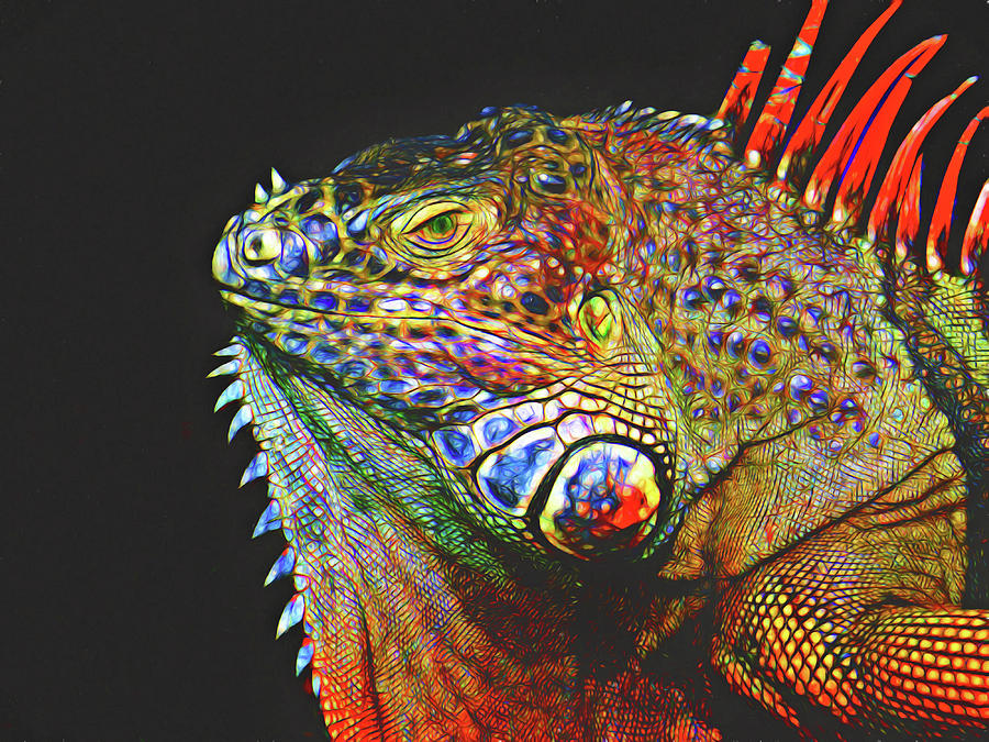 Colorful Iguana Art Digital Art by Jill Nightingale | Fine Art America