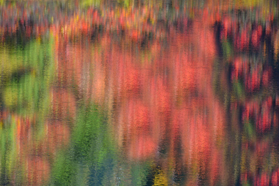 Abstract Photograph - Colorful Impressions by Lena Photo Art