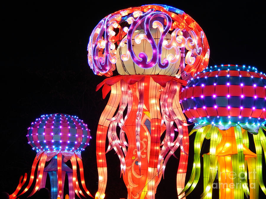 Colorful Intricate Jellyfish Lanterns Photograph by Amy Dundon
