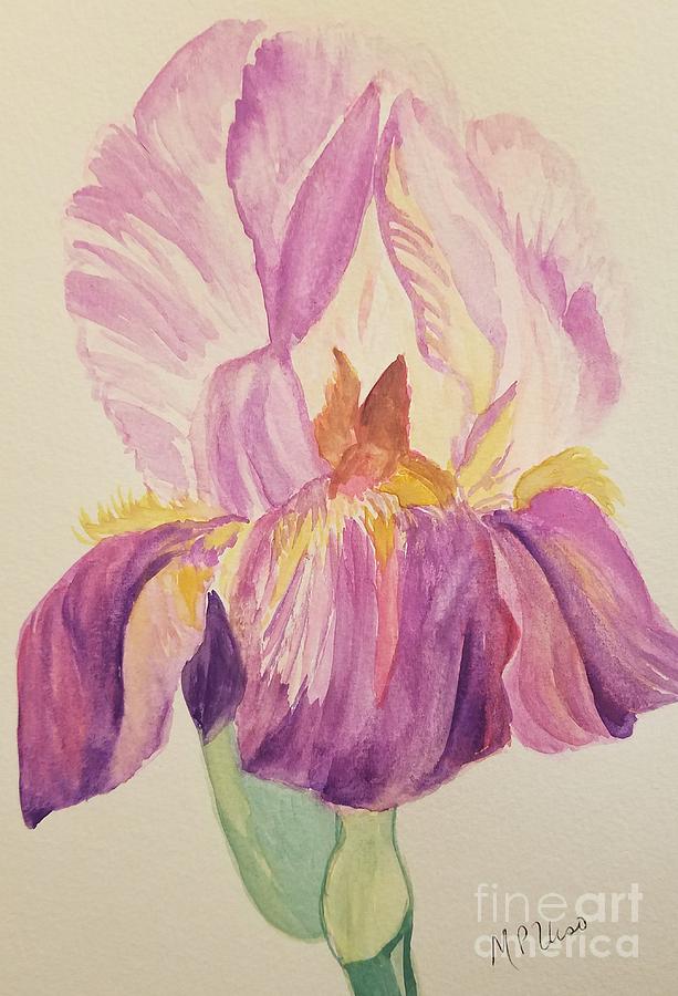 Colorful Iris Painting by Maria Urso