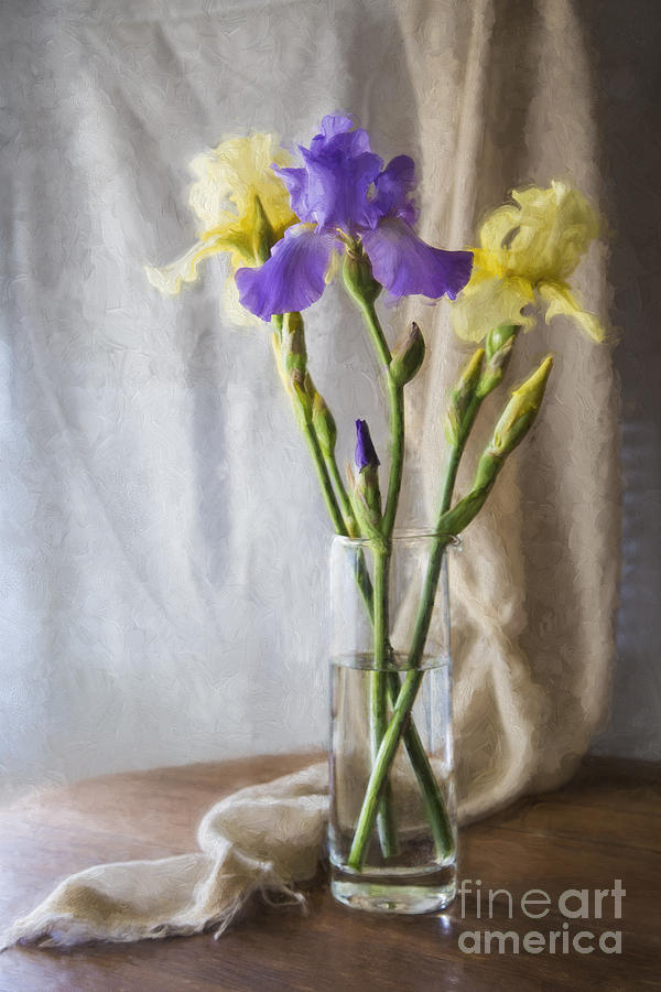 Colorful Irises Digital Art by Elena Nosyreva