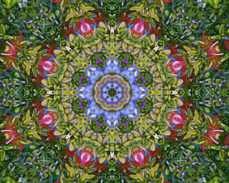 Colorful Kaleidoscope  Circle Digital Art by Roy Pedersen