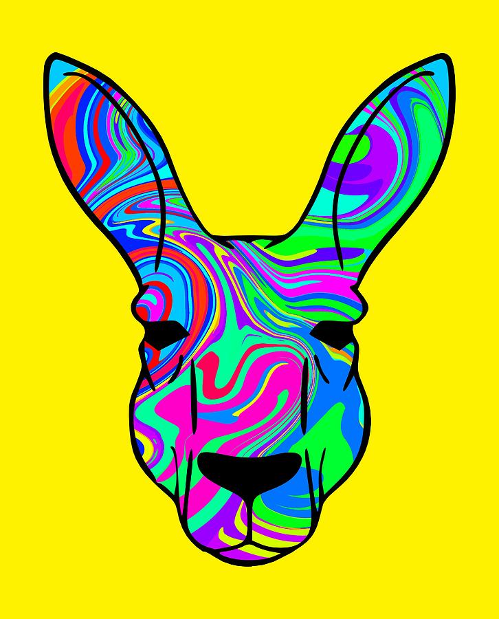 Kangaroo Digital Art - Colorful Kangaroo by Chris Butler