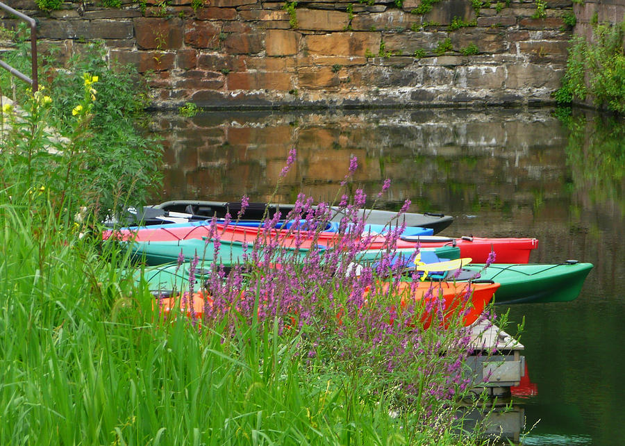 Colorful Kayaks Photograph by Lori Seaman