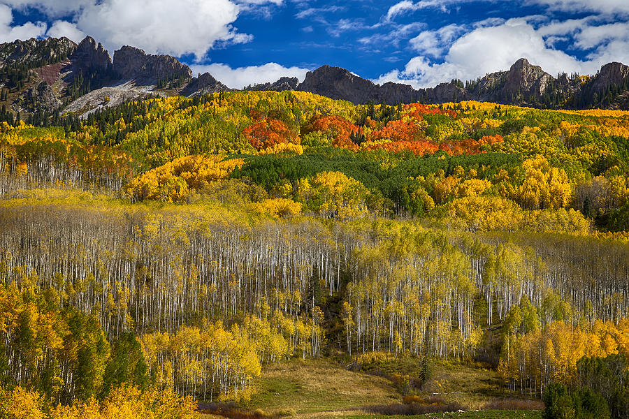 Colorful Kebler Pass Fall Foliage Photograph by James BO Insogna