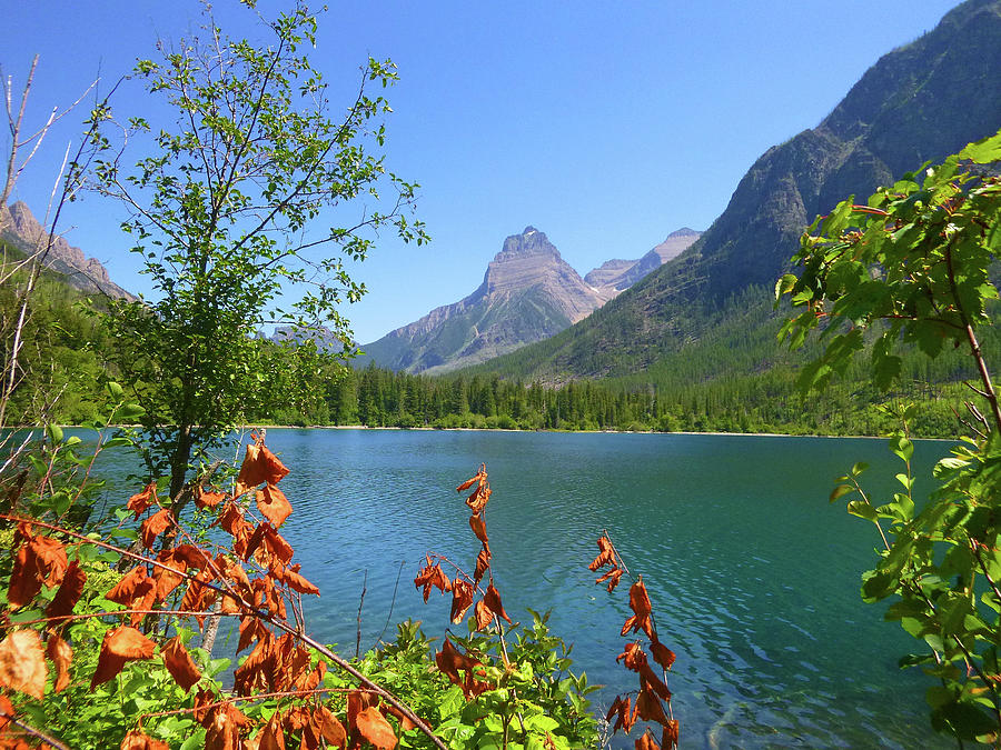 Kintla Lake: A Montana Paradise for Wilderness Lovers