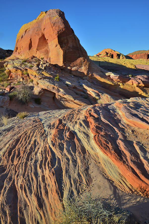 Colorful Layers of Sandstone in Pastel Canyon in Valley of Fire Photograph by Ray Mathis