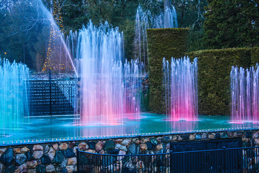 Colorful Lights Of Longwood Gardens Photograph By William E Rogers ...