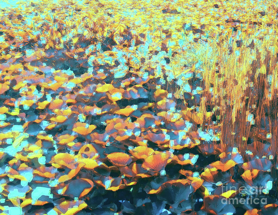 Colorful Lily Pads And River Grass Digital Art by Phil Perkins