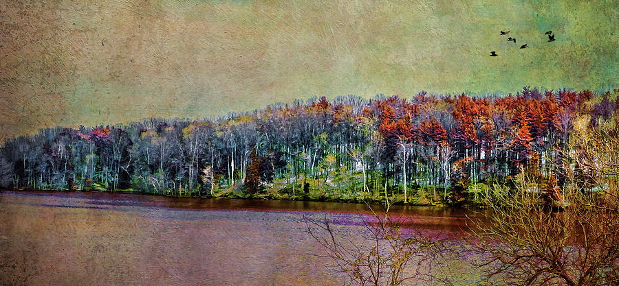 Colorful Loch Raven Reservoir Photograph by Reynaldo Williams