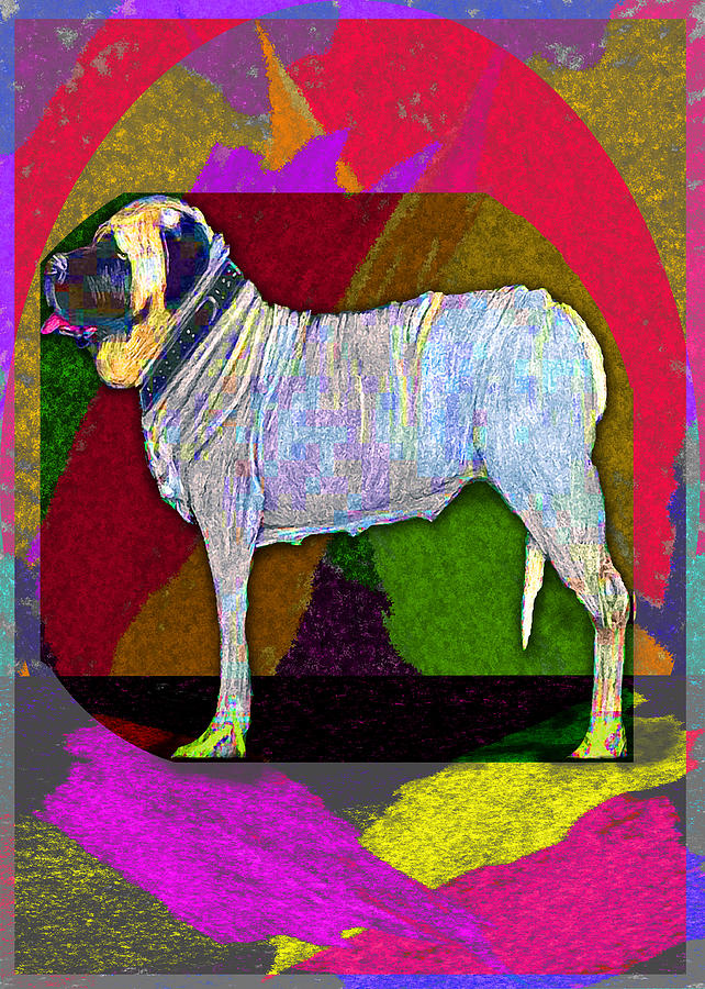 Colorful Mastiff Drawing by Michelle Audas | Fine Art America