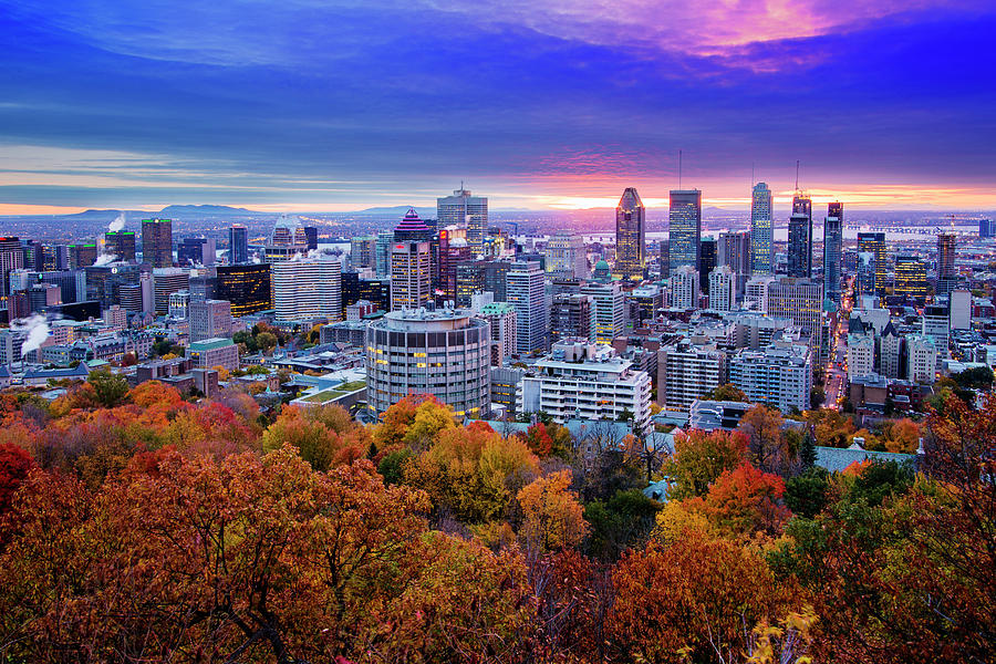 Colorful Montreal  Photograph by Mircea Costina Photography