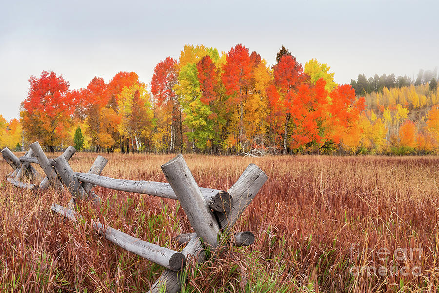Colorful Morning on the Oxbow Photograph by Leslie Wells