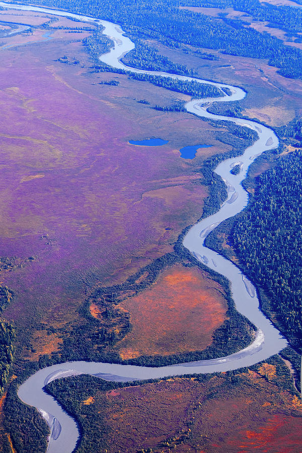 Colorful Muskeg Photograph by Bob Faucher - Pixels