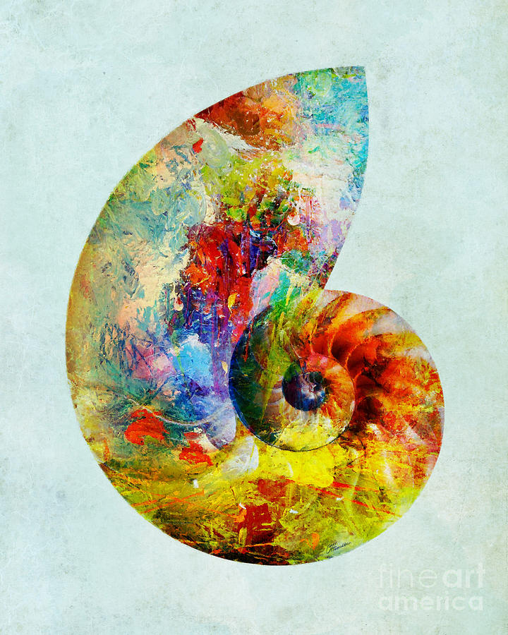 Colorful Nautilus Art Mixed Media by Olga Hamilton