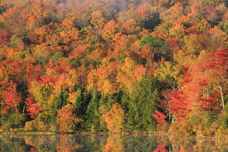 Colorful New England Fall Foliage Photograph by John Burk
