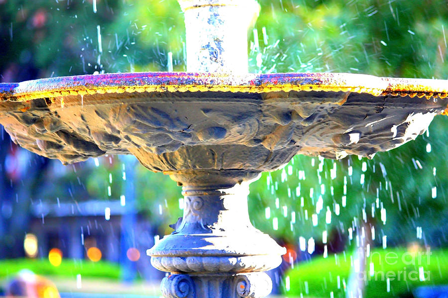 Colorful New Orleans Fountain Photograph by Carol Groenen