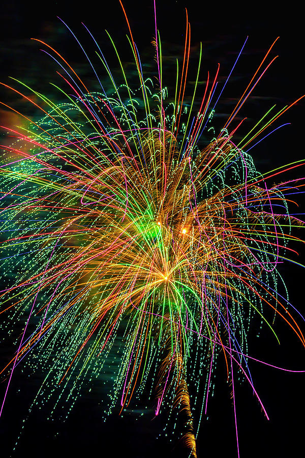 Colorful Night Fireworks Photograph by Garry Gay