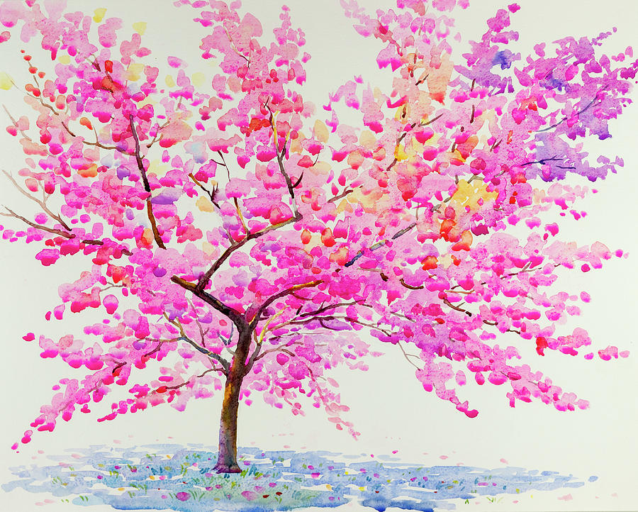 Colorful Of Wild Himalayan Cherry In White Background Painting By