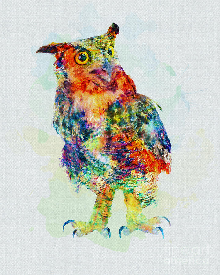 Colorful Owl Art Mixed Media by Olga Hamilton