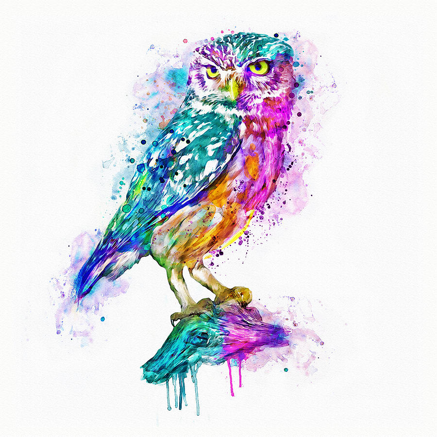 Bird Painting - Colorful Burrowing Owl by Marian Voicu