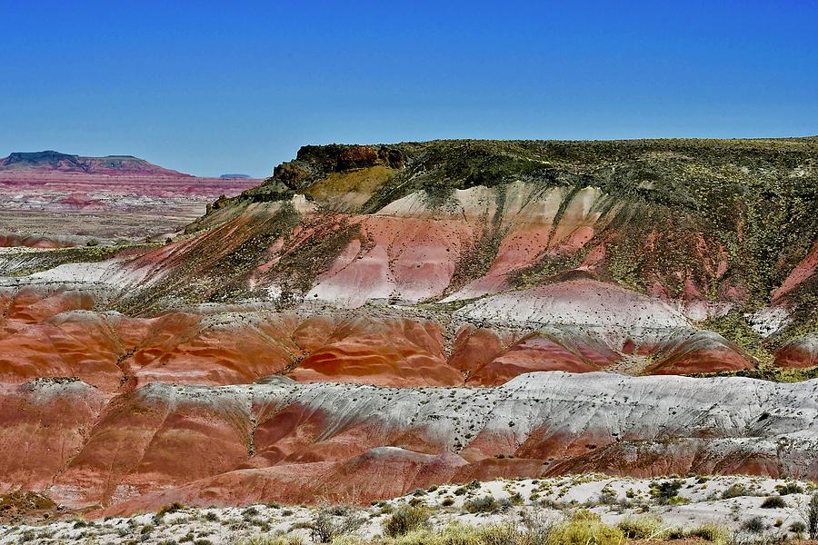 Colorful Painted Desert Photograph by Hella Buchheim
