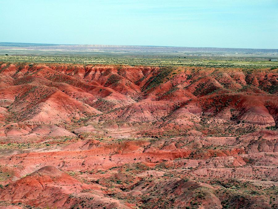 Colorful Painted Desert Photograph by Jeanette Oberholtzer