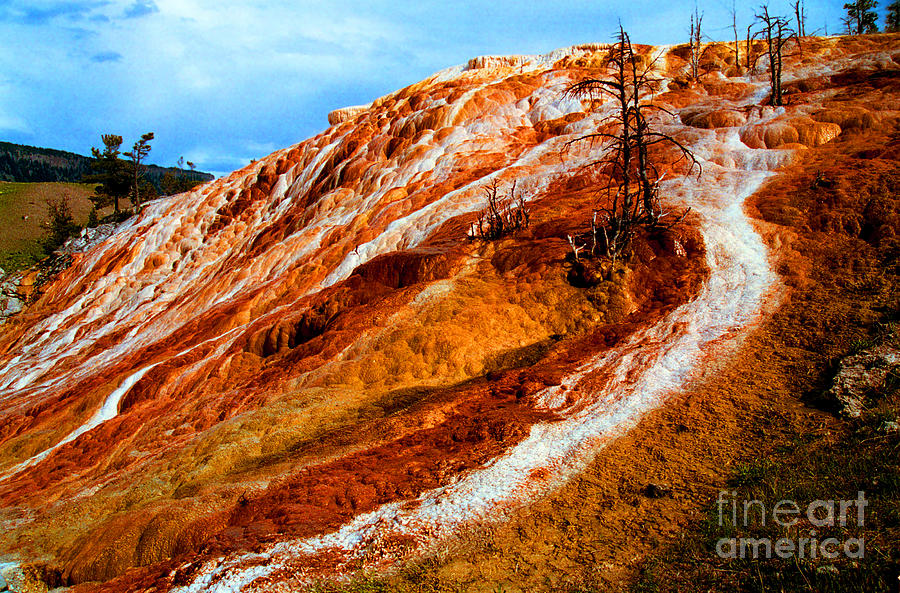 Yellowstone National Park Photograph - Colorful Pallet Spring by Rich Walter