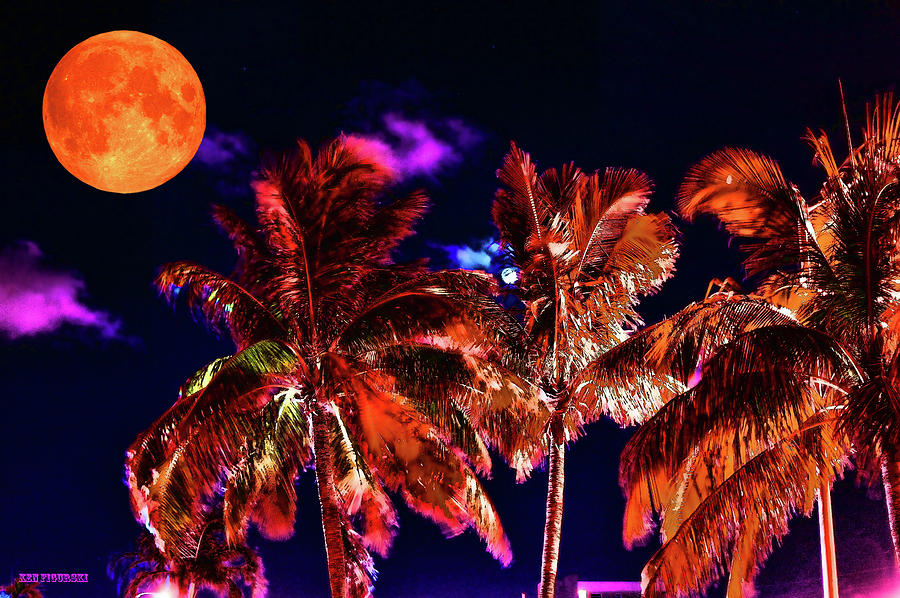 Colorful Palm Trees Mixed Media by Ken Figurski