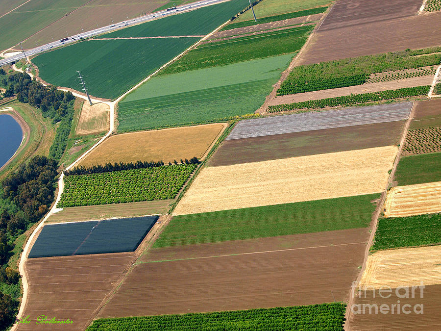 Colorful patches in the Jezreel Valley Photograph by Arik Baltinester